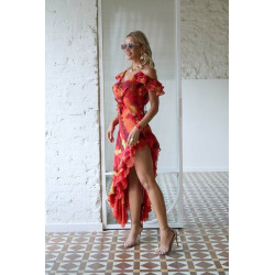 VESTIDO ELARI DE CAMALEÓNICA BY CAPRICHE